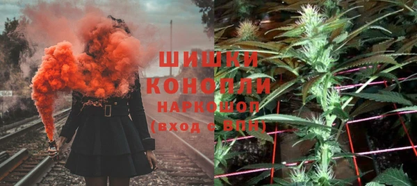 шишки Алзамай