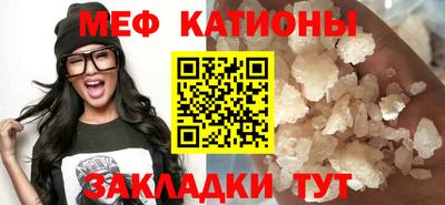 прущие грибы Бийск