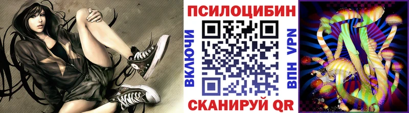 Псилоцибиновые грибы Cubensis  Апрелевка 