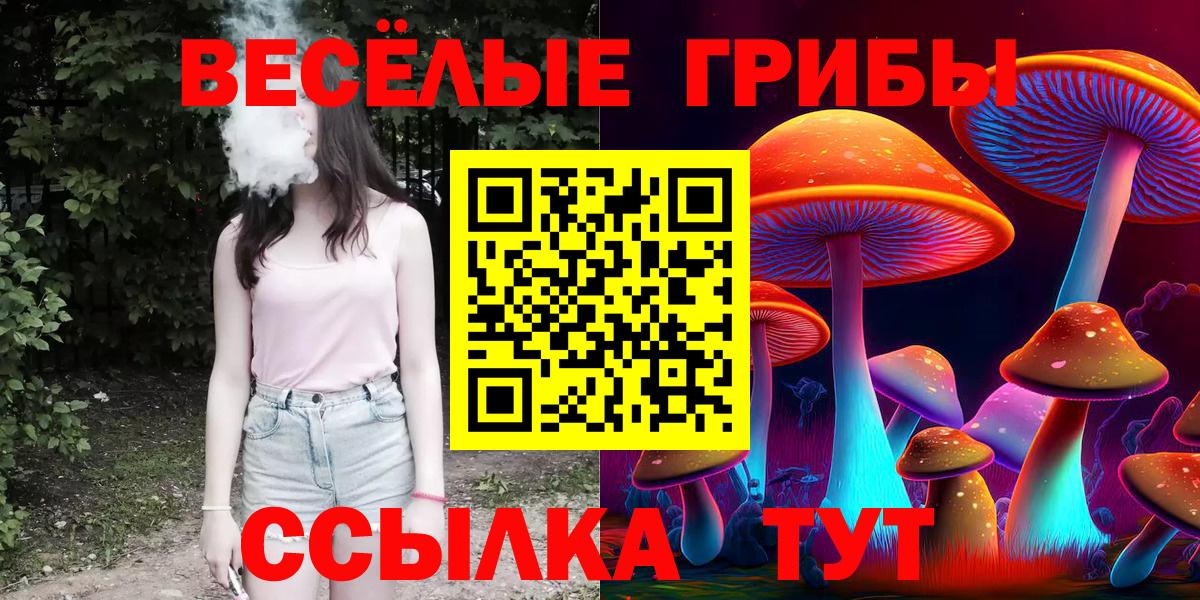 Апрелевка  Галлюциногенные грибы прущие грибы  Вход с VPN 