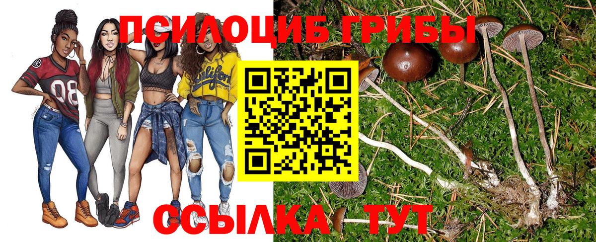 Псилоцибиновые грибы MAGIC MUSHROOMS Апрелевка